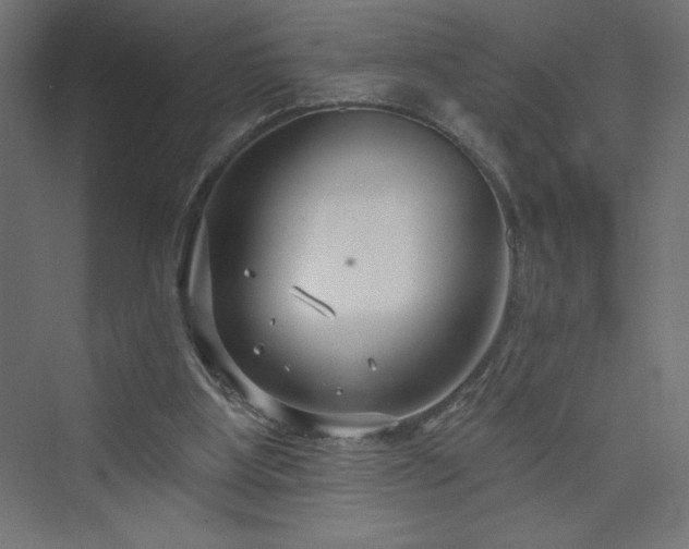 X0000073990107200608211358