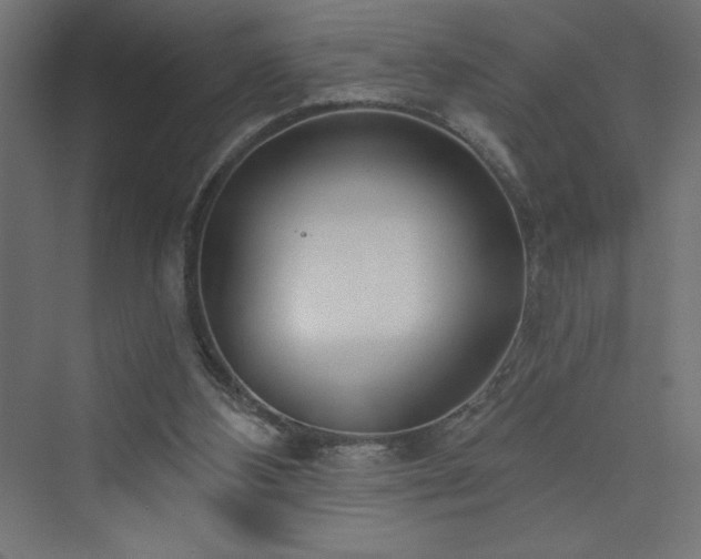 X0000073990108200608211358