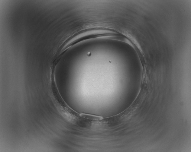 X0000073990109200608211358