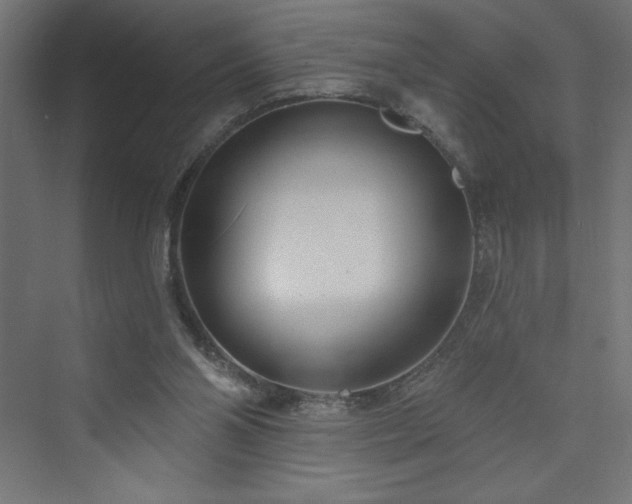 X0000073990110200608211358