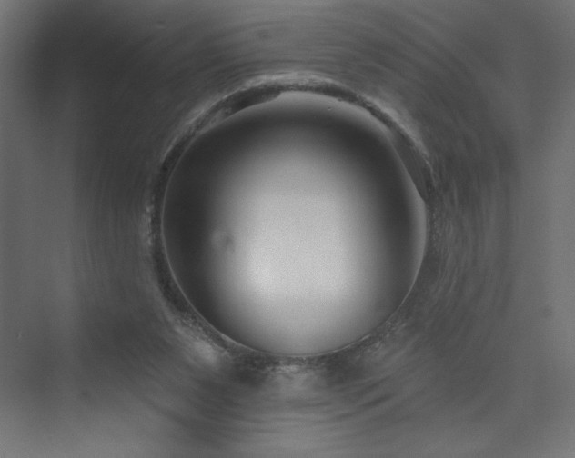 X0000073990111200608211358