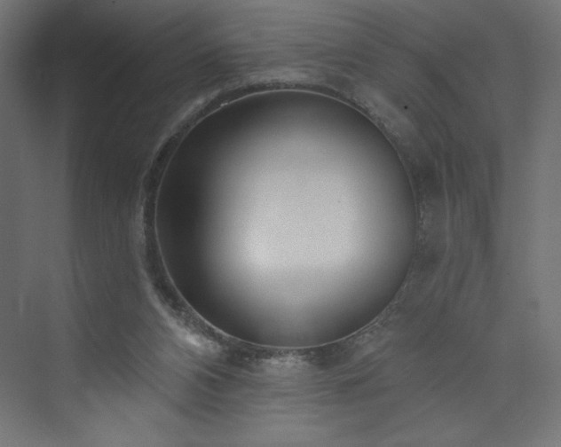 X0000073990112200608211358