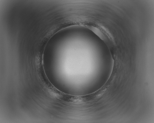 X0000073990113200608211358