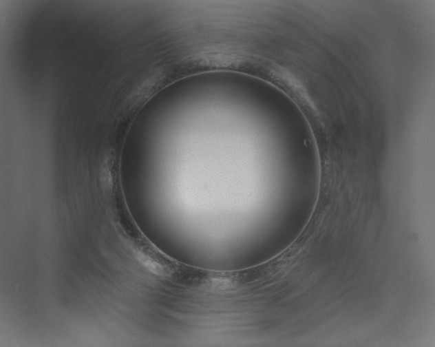 X0000073990114200608211358