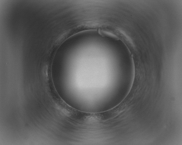 X0000073990115200608211358