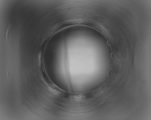 X0000073990118200608211358