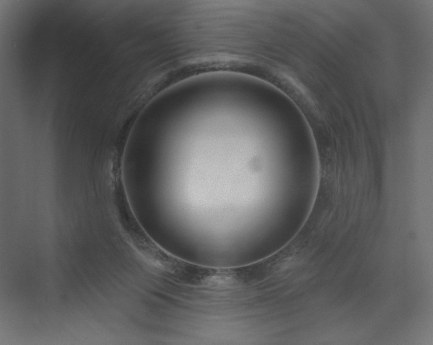 X0000073990119200608211358