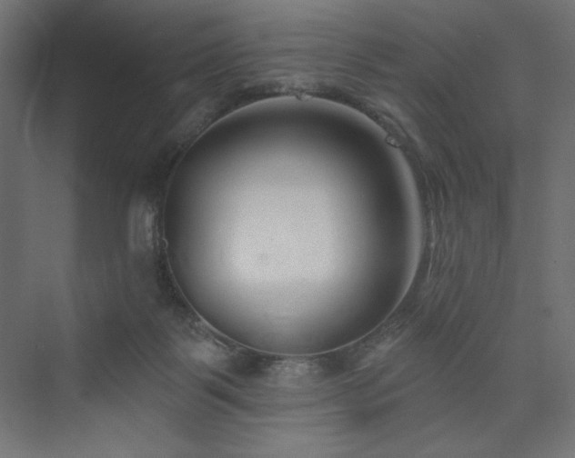 X0000073990123200608211358