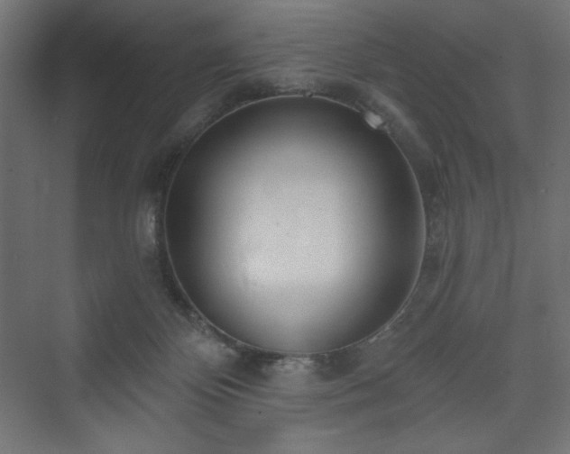 X0000073990124200608211358