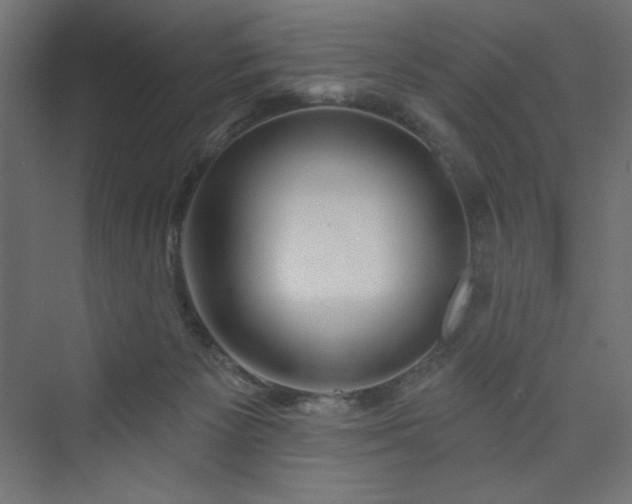 X0000073990125200608211358