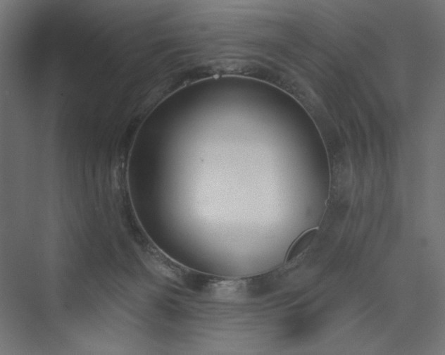 X0000073990126200608211358