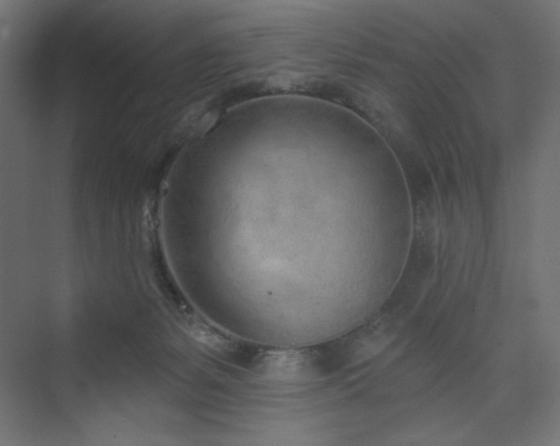 X0000073990127200608211358