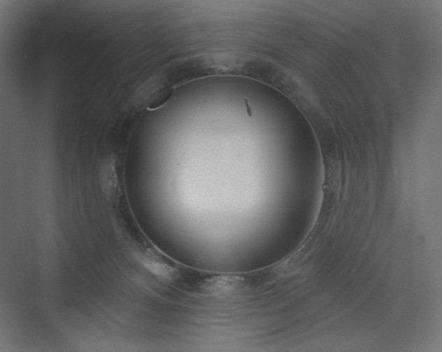 X0000073990128200608211358