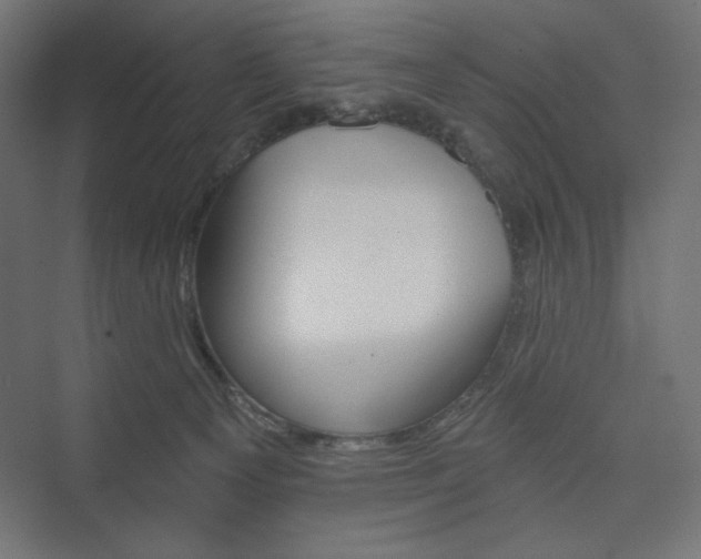 X0000073990129200608211358