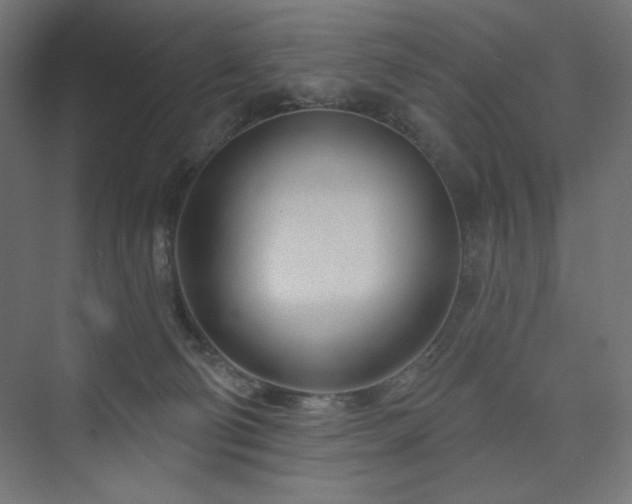 X0000073990130200608211358