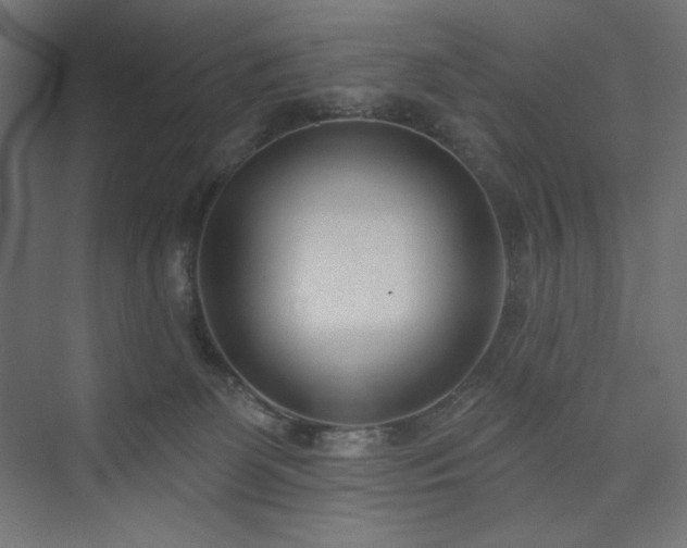 X0000073990131200608211358