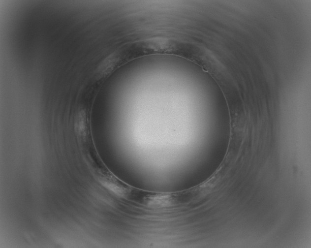 X0000073990132200608211358