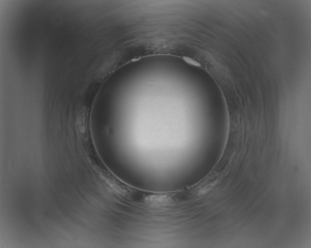 X0000073990133200608211358