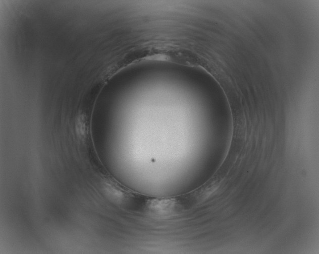 X0000073990135200608211358