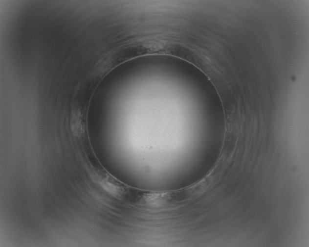 X0000073990136200608211358