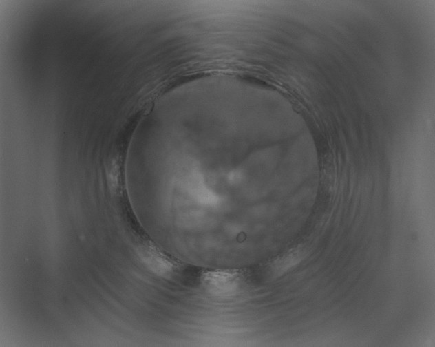 X0000073990139200608211358