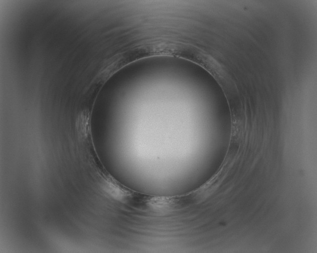 X0000073990142200608211357