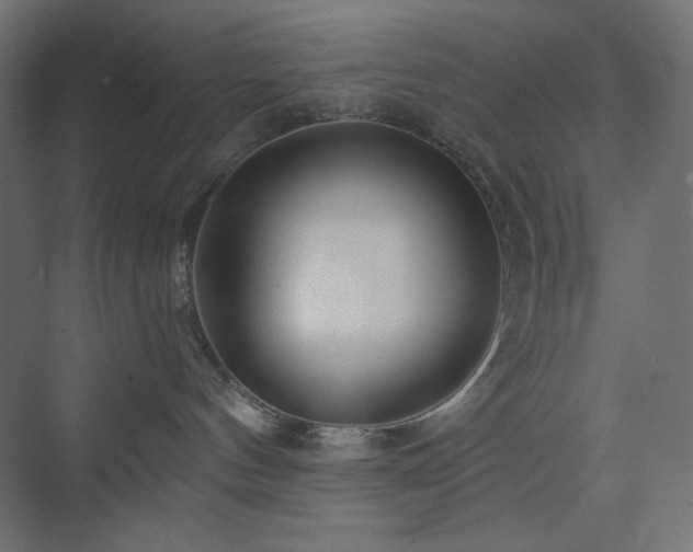 X0000073990144200608211357