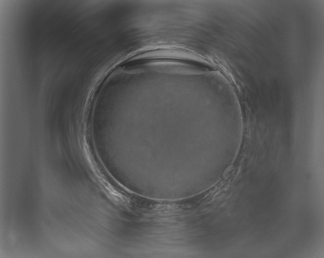 X0000073990145200608211357