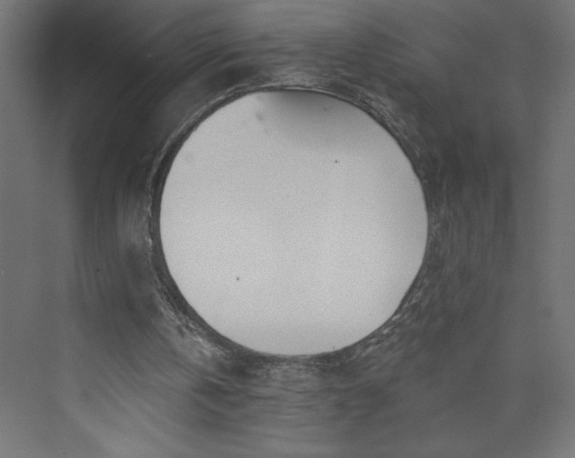 X0000073990146200608211357