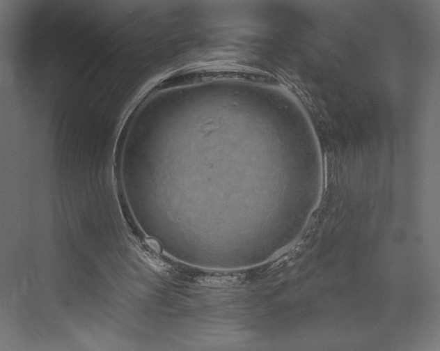 X0000073990147200608211357