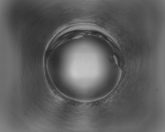 X0000073990148200608211357