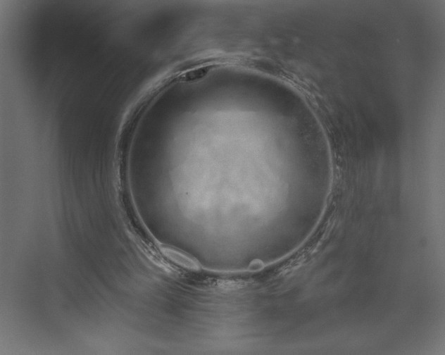 X0000073990149200608211357