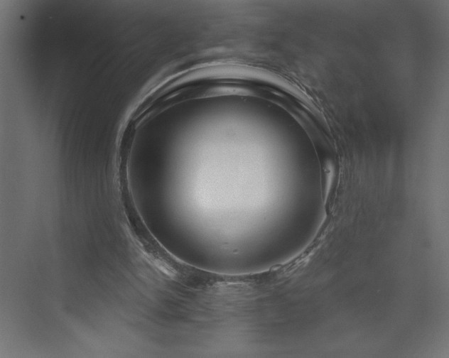 X0000073990150200608211357