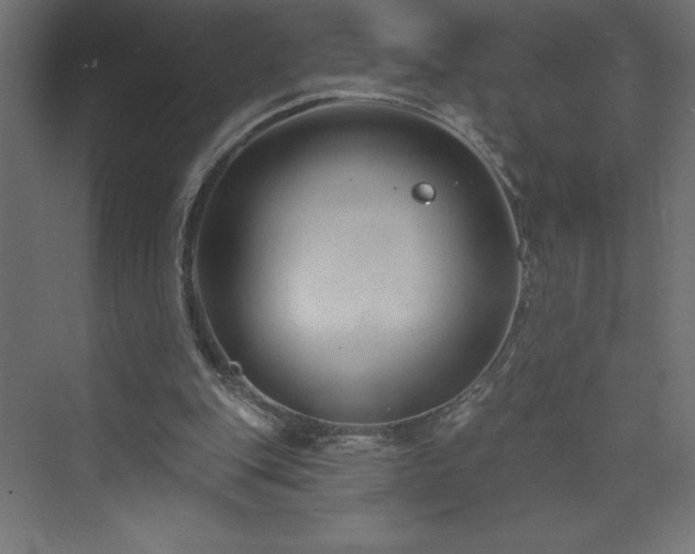 X0000073990151200608211357