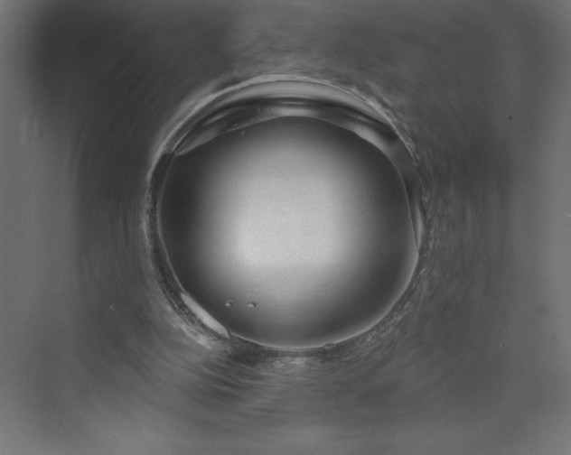 X0000073990152200608211357