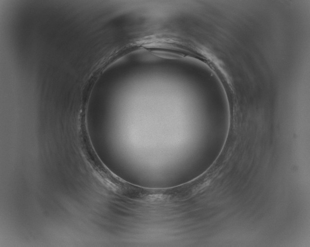 X0000073990153200608211357