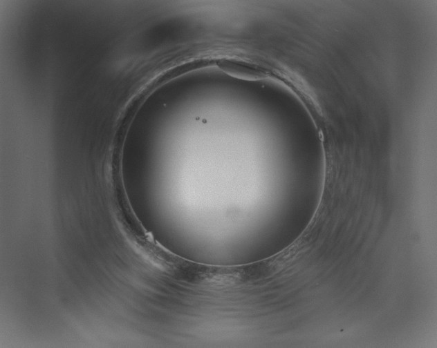 X0000073990155200608211357