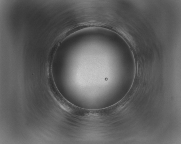 X0000073990157200608211357