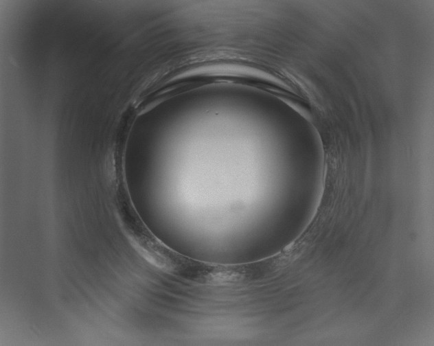 X0000073990158200608211357