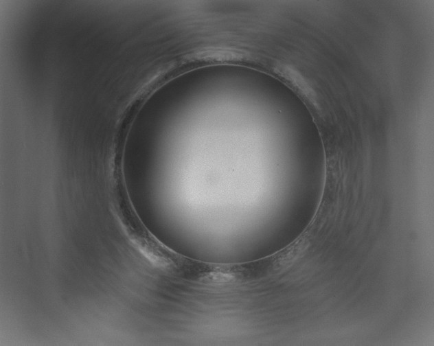 X0000073990159200608211357