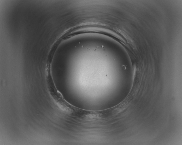 X0000073990160200608211357