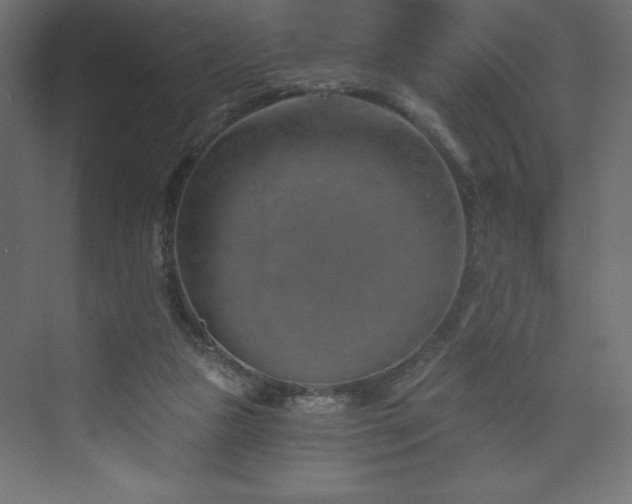 X0000073990161200608211357