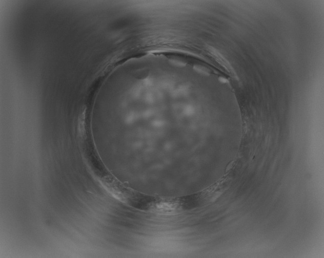 X0000073990163200608211357