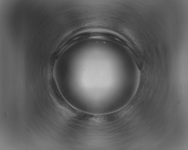 X0000073990164200608211357