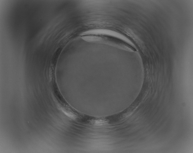 X0000073990165200608211357