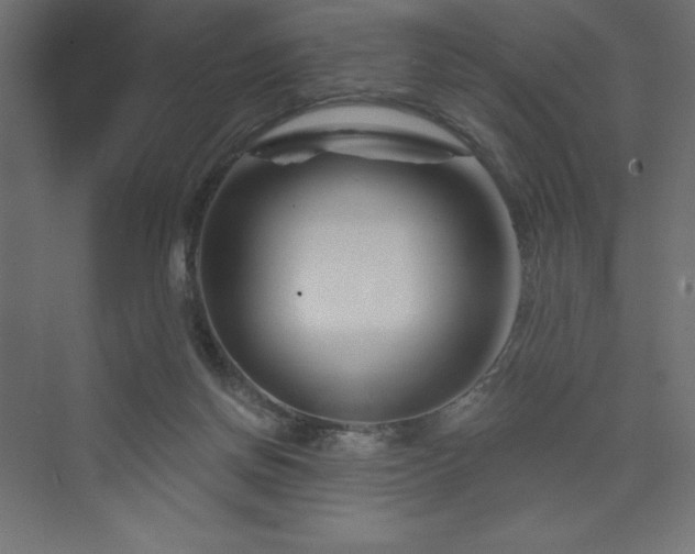 X0000073990166200608211357