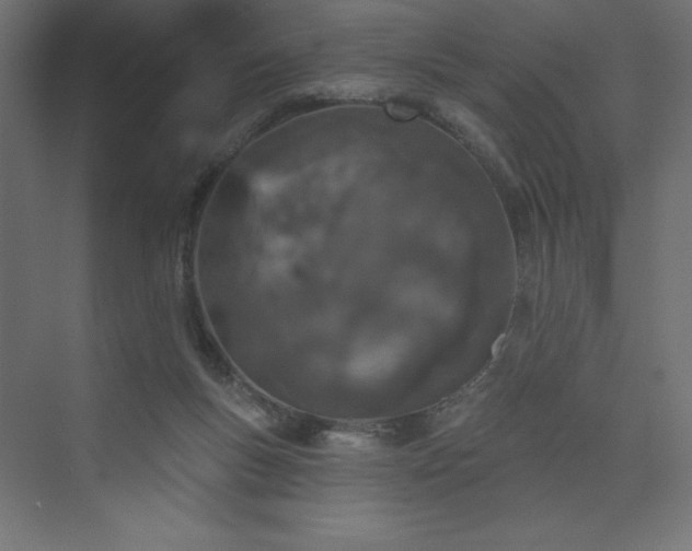 X0000073990167200608211357