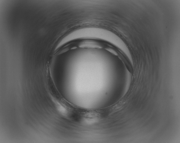 X0000073990168200608211357