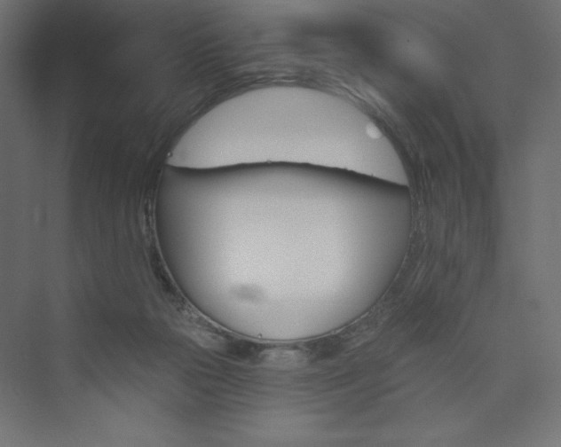 X0000073990169200608211357