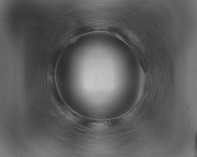 X0000073990170200608211357